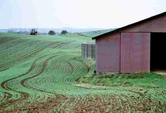 Farm and barn